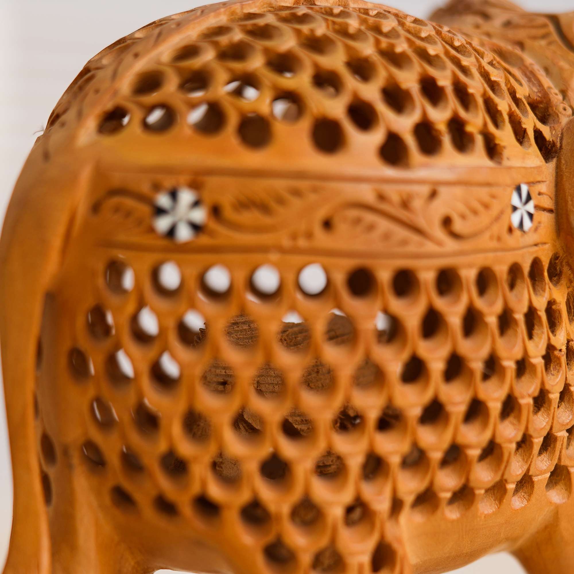 Chitran Product Photography