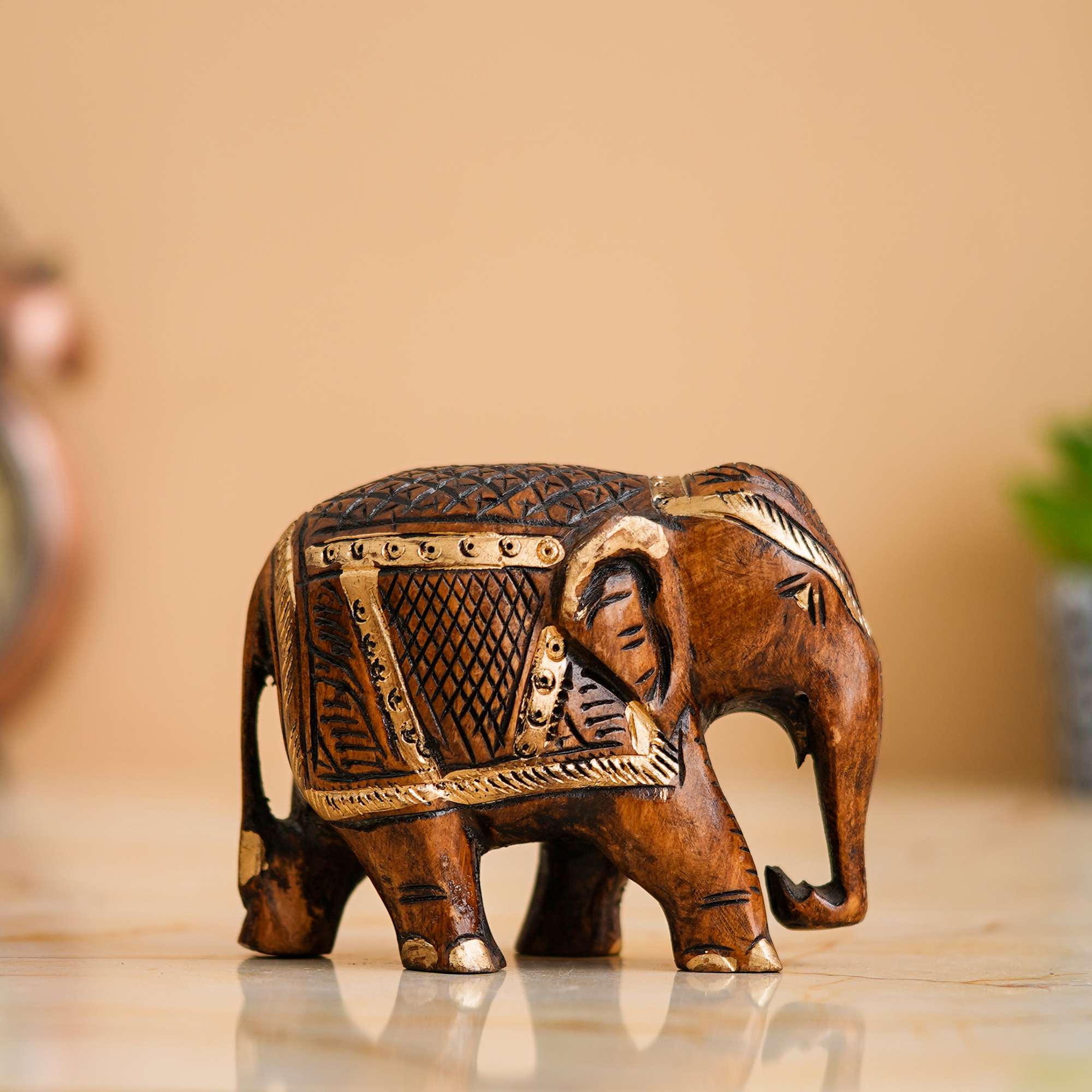 Chitran Product Photography