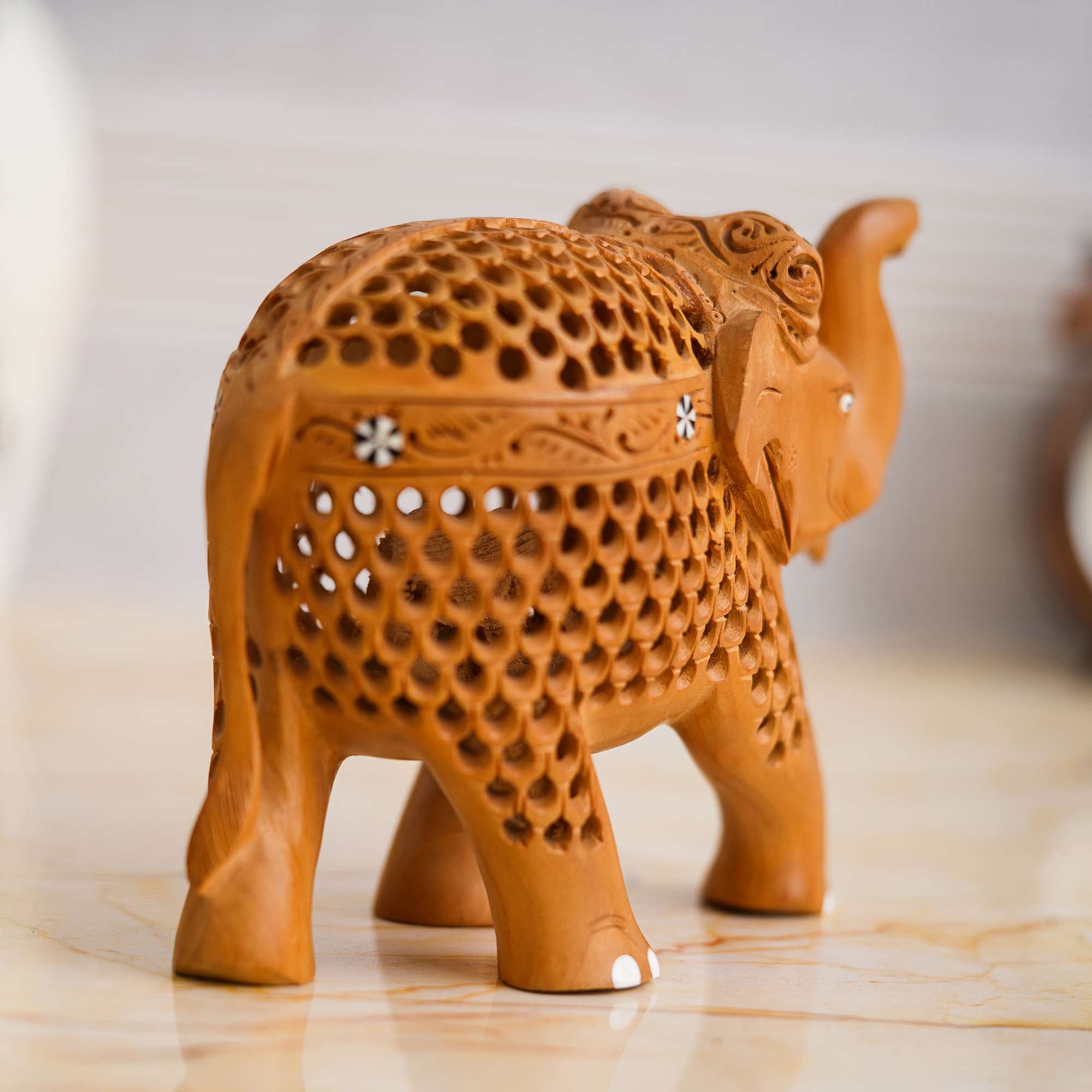 Chitran Product Photography