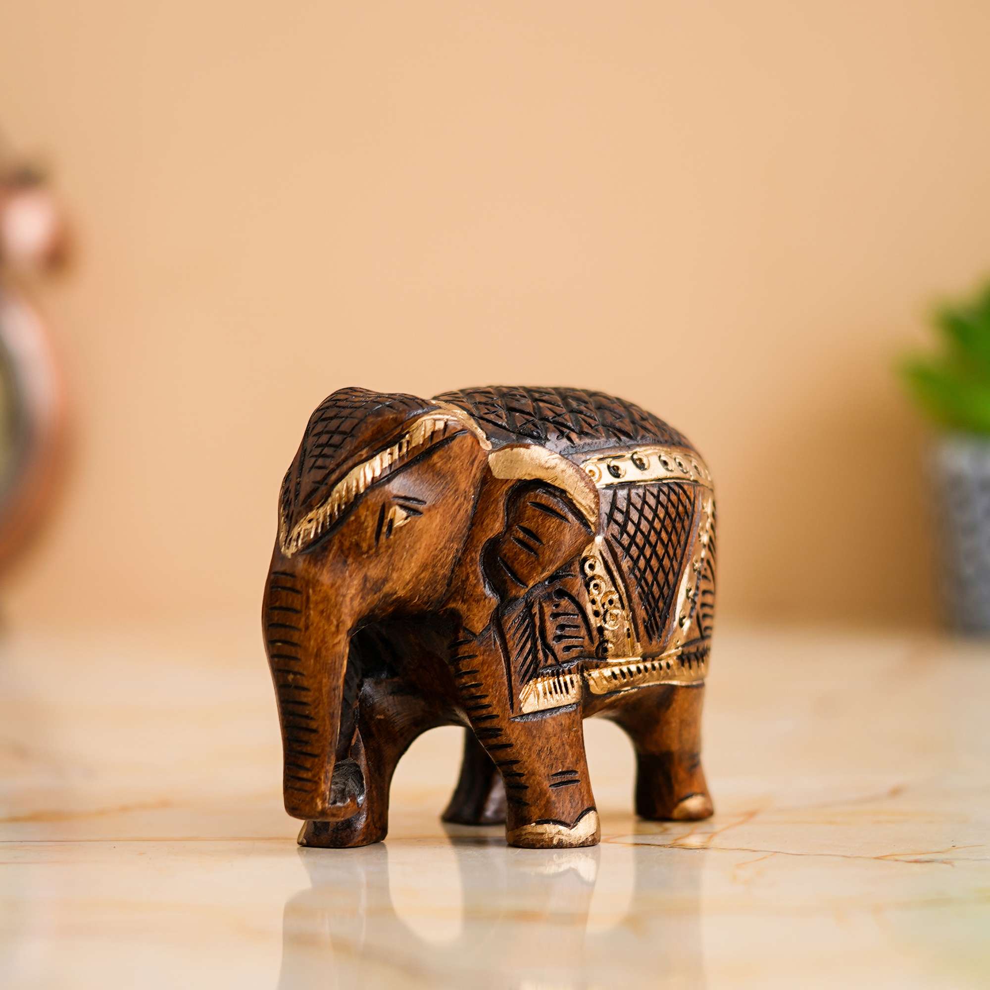 Chitran Product Photography